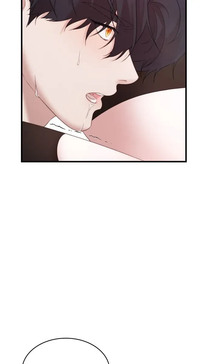 Chapter 6, page 74