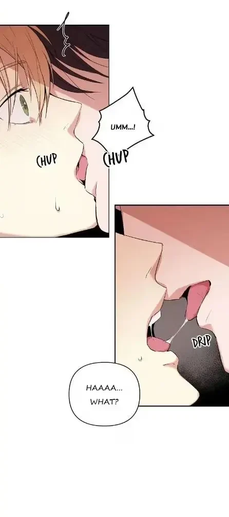 Chapter 4, page 71