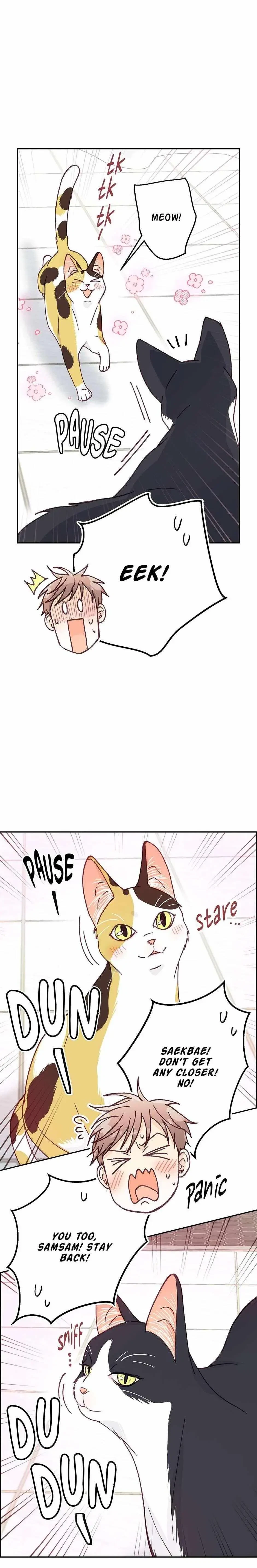 Chapter 30, page 13