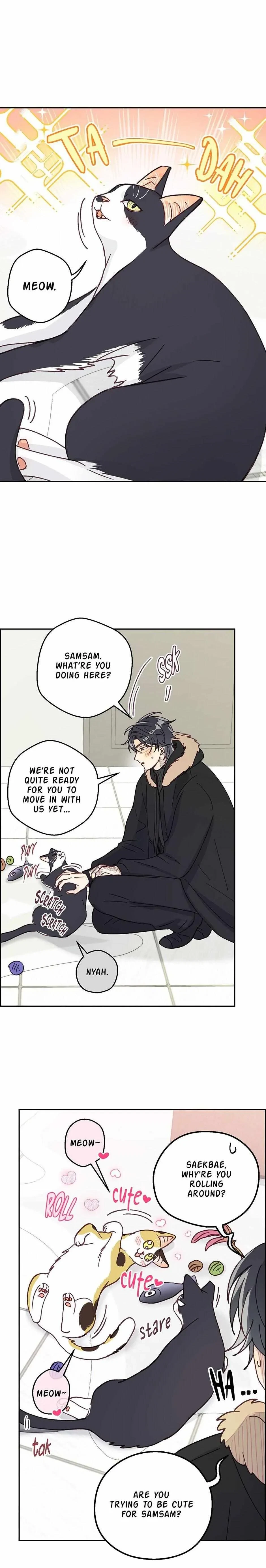 Chapter 30, page 15