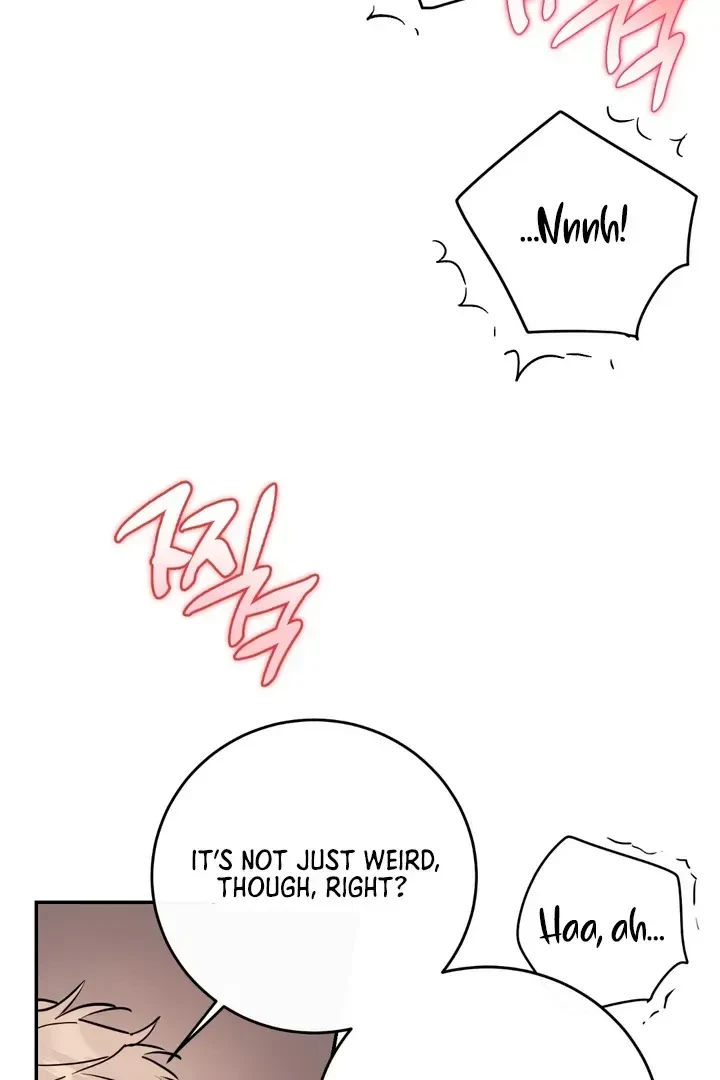 Chapter 3.4, page 35