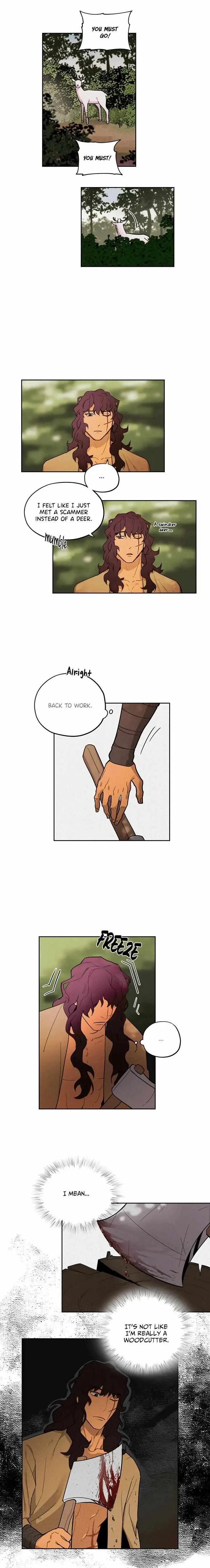Chapter 1, page 13