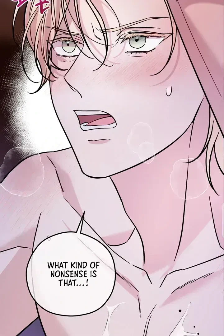 Chapter 1.5, page 17