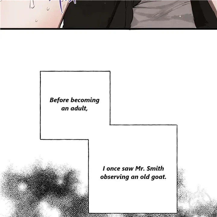 Chapter 3, page 23