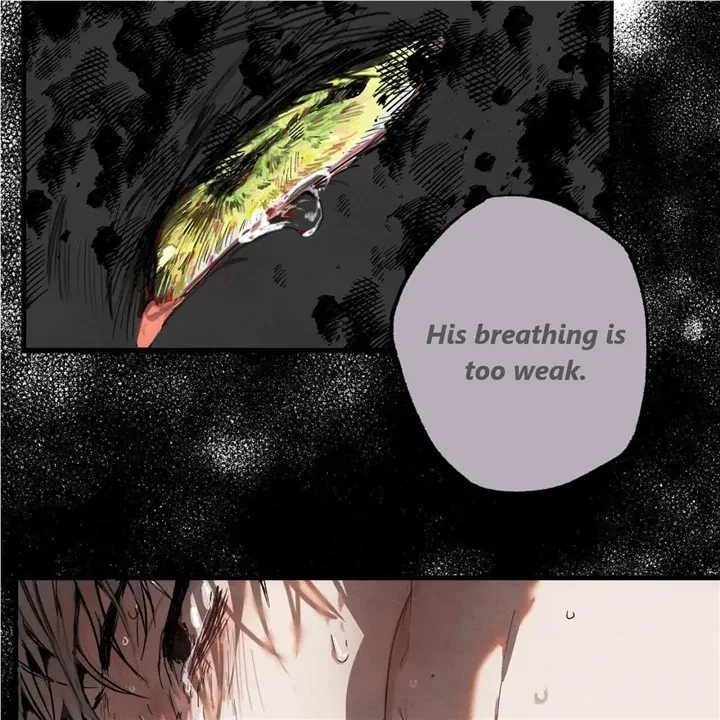 Chapter 3, page 33