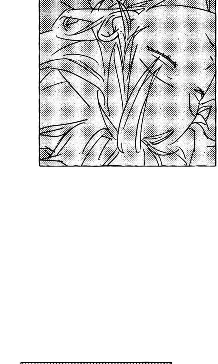 Chapter 38, page 33