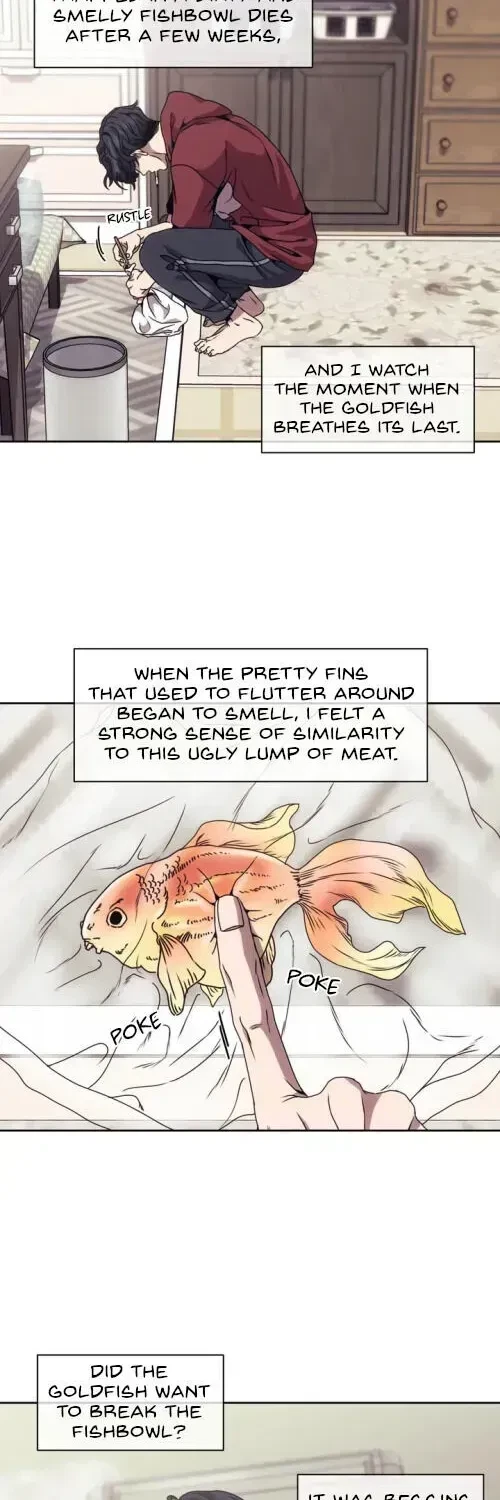 Chapter 1.4, page 15