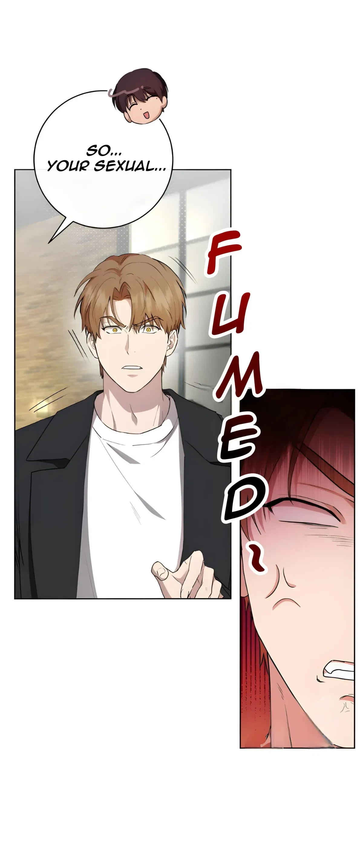 Chapter 4, page 21
