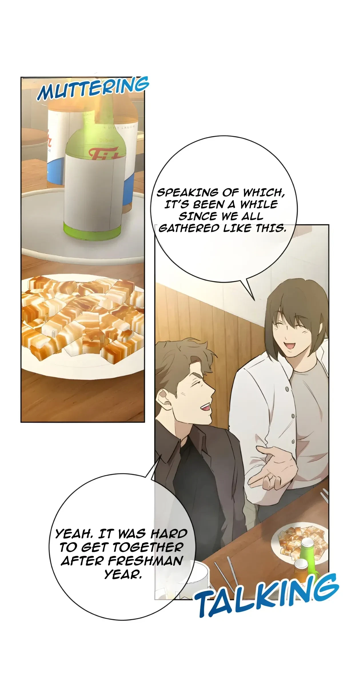 Chapter 4, page 76