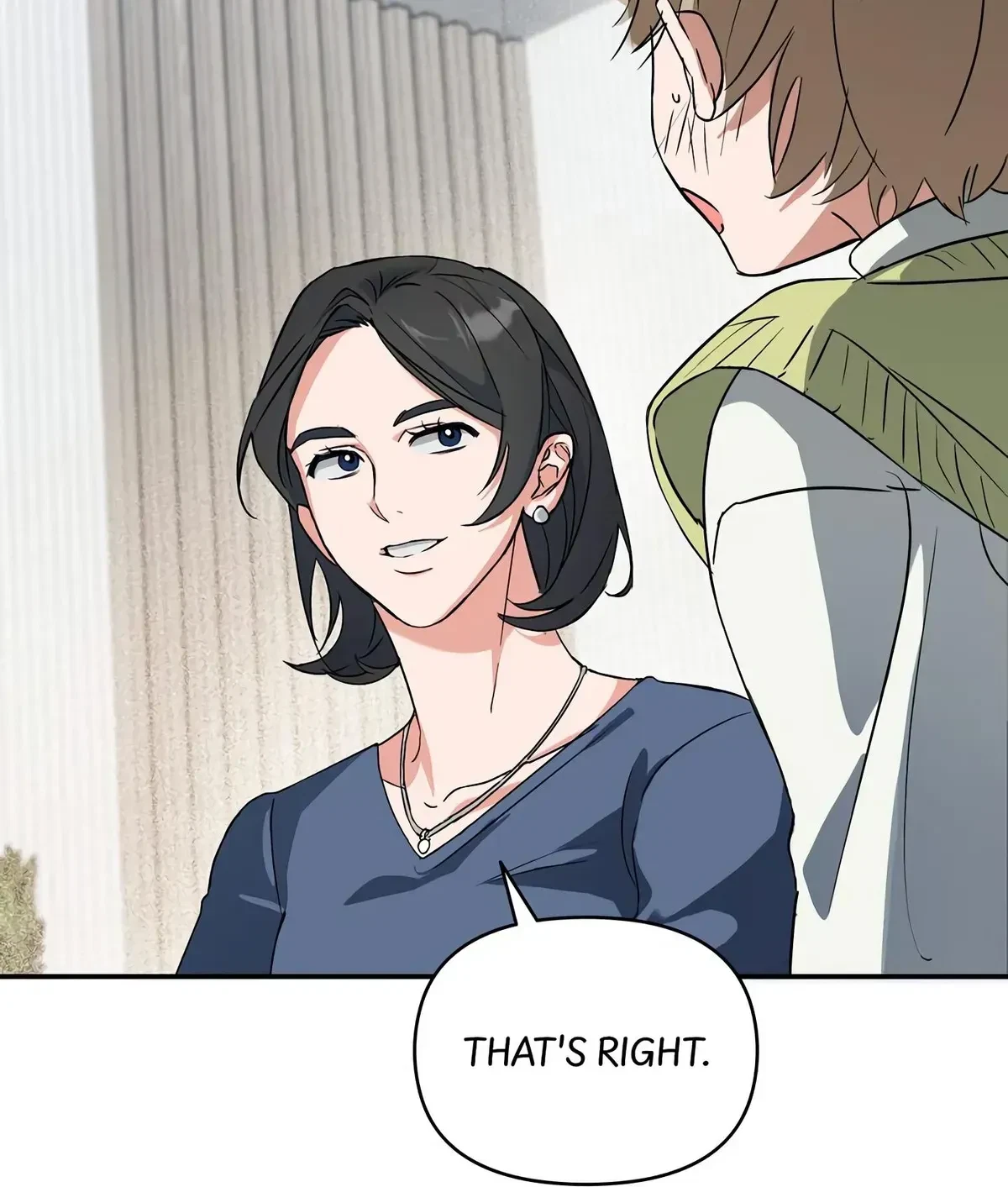 Chapter 1.1, page 97