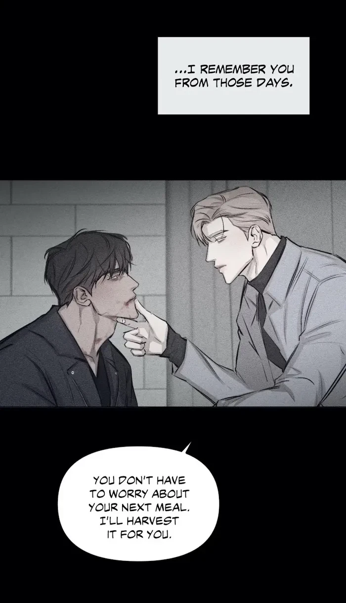 Chapter 4, page 19
