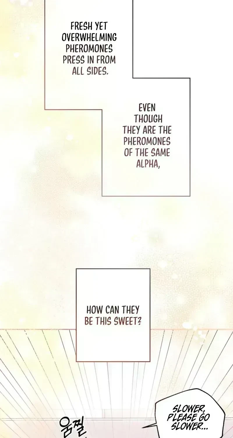 Chapter 1.6, page 4