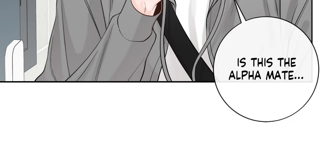 The Alpha's Mate Chapter 46, page 72