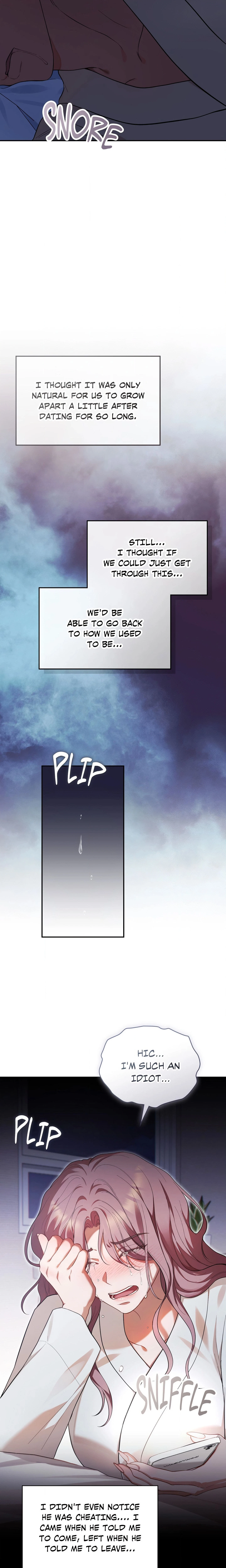 Chapter 1, page 15