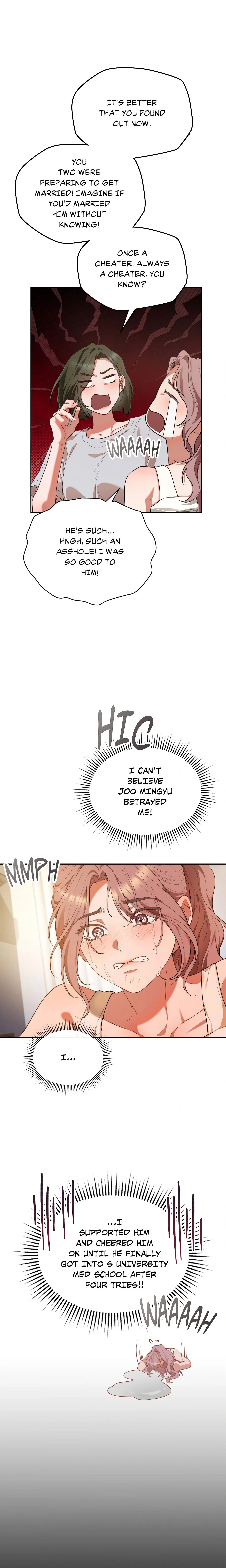 Chapter 1, page 19