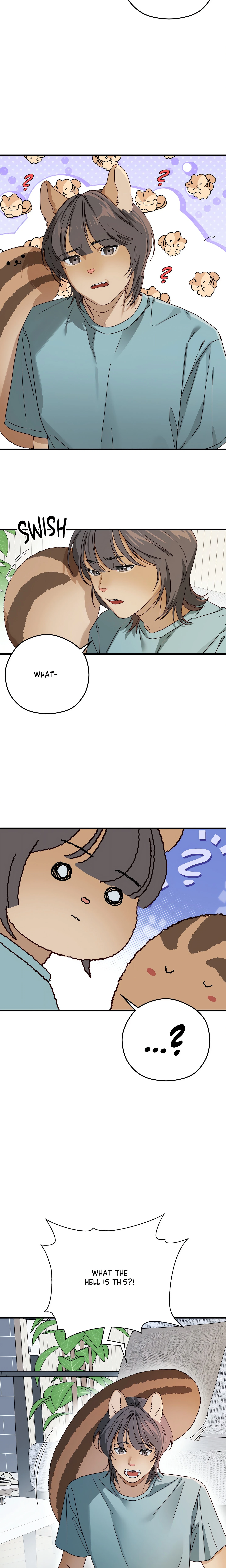 Chapter 2, page 21