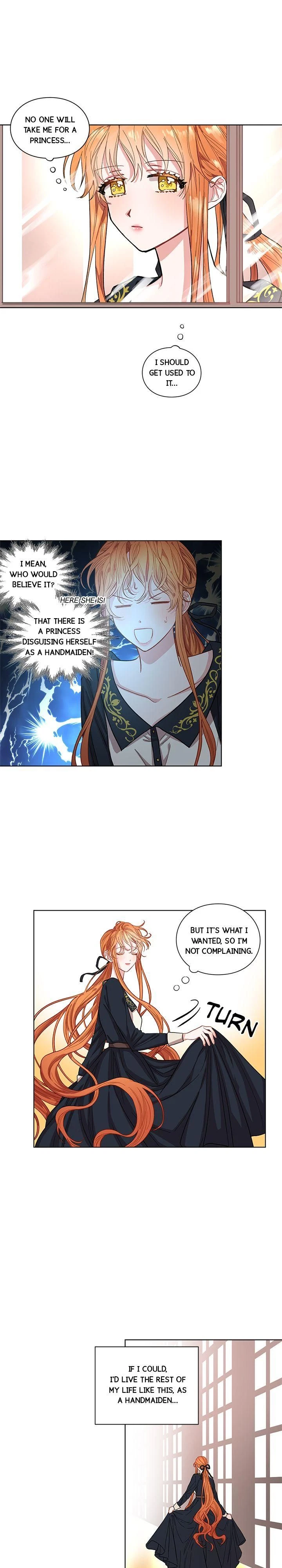 Chapter 1, page 5