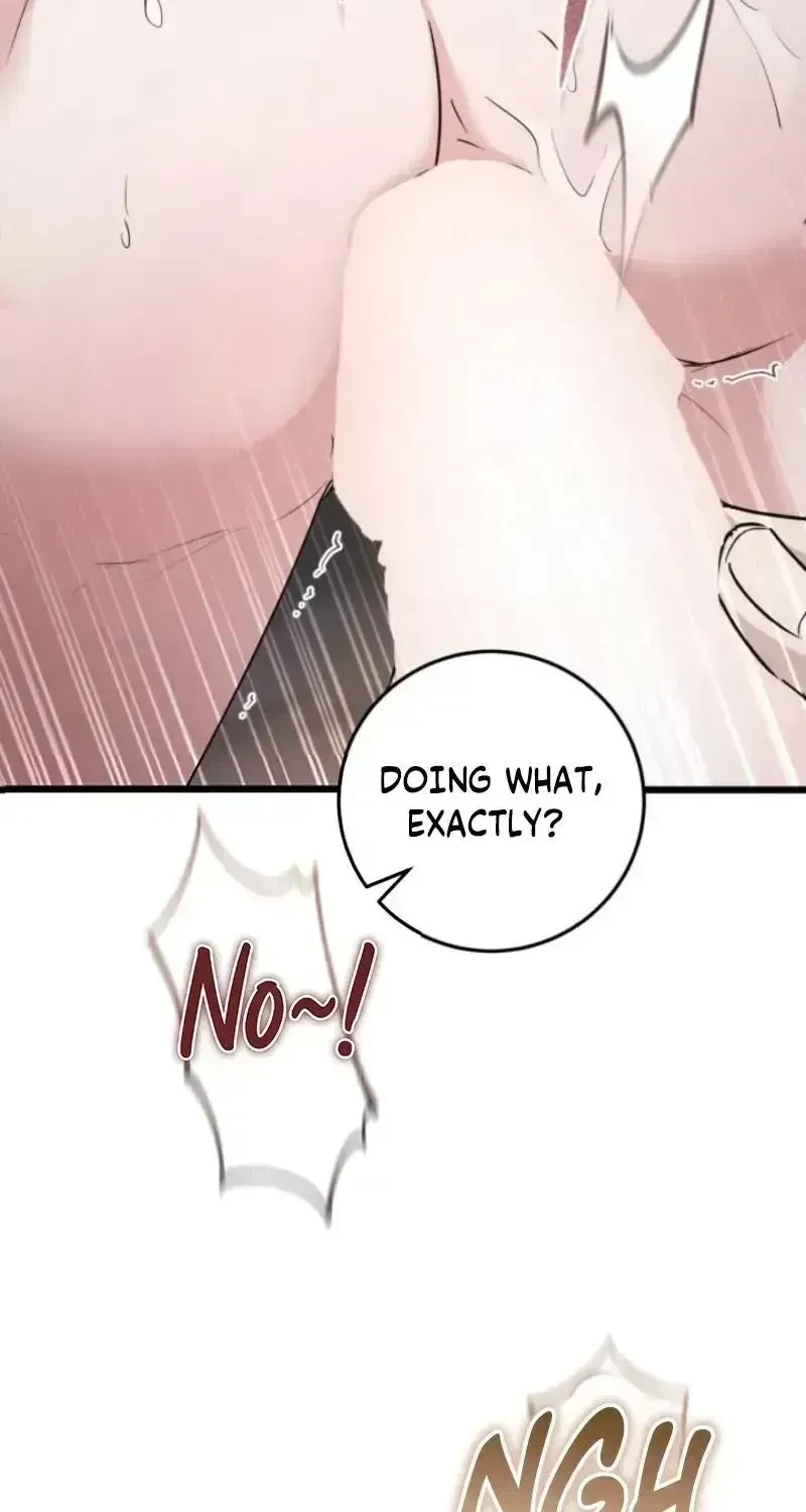 Chapter 1.3, page 20