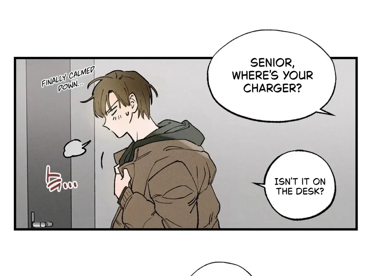 Chapter 2, page 19