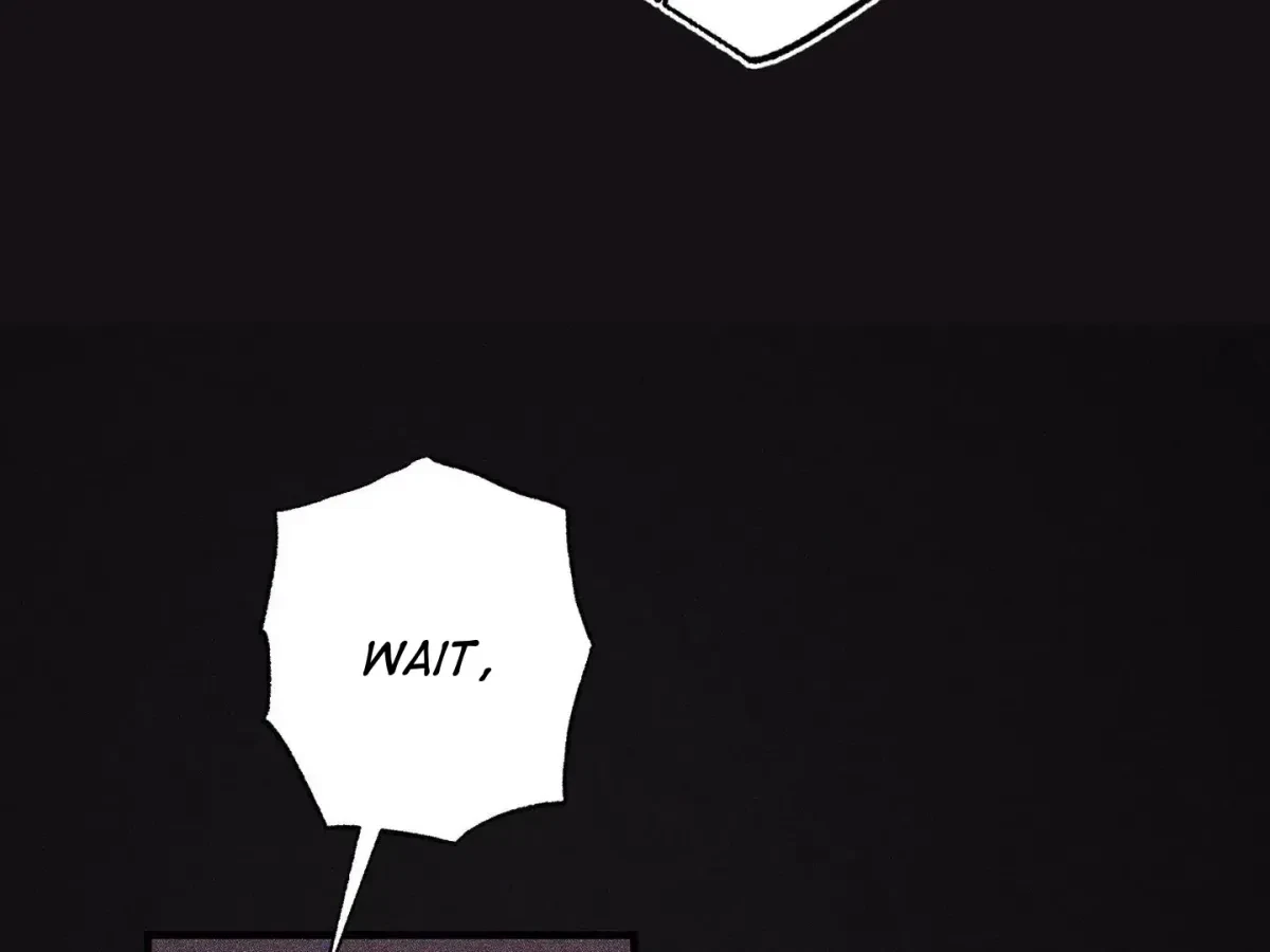Chapter 2, page 97