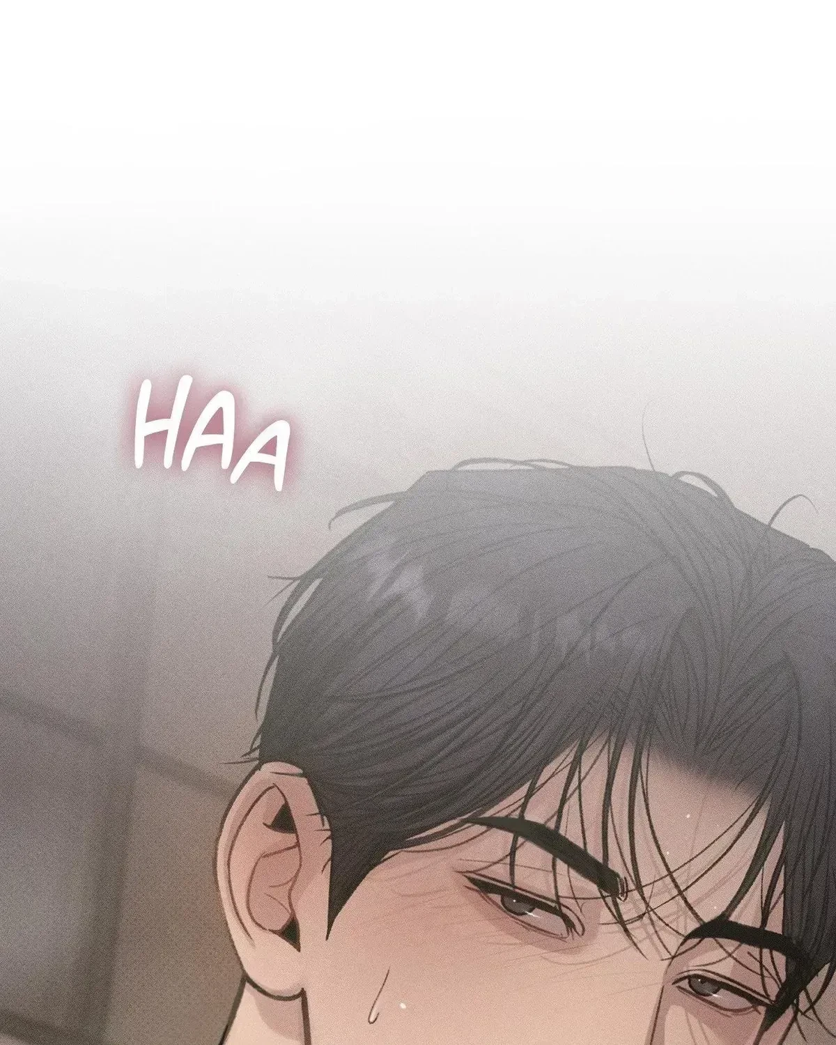 Chapter 3.6, page 43