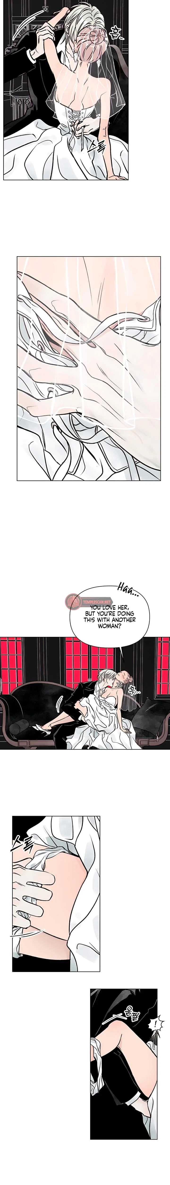 Chapter 1, page 19