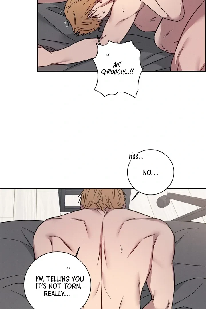 Chapter 4, page 41