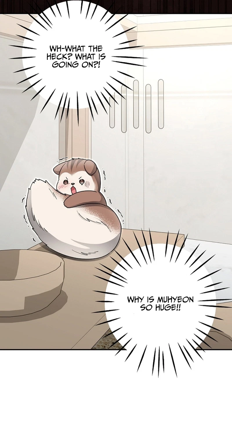 Even A Lonely Squirrel Has Its Burrow Chapter 21, page 66