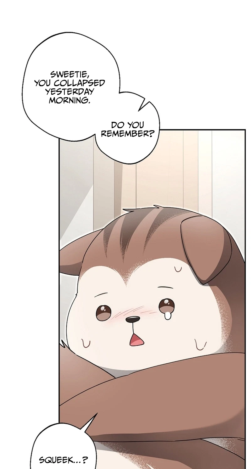 Even A Lonely Squirrel Has Its Burrow Chapter 21, page 67