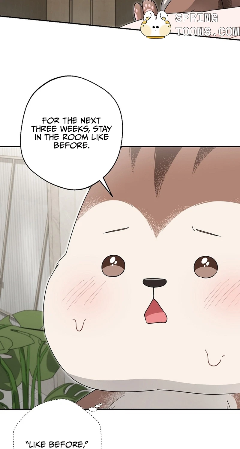 Even A Lonely Squirrel Has Its Burrow Chapter 21, page 73