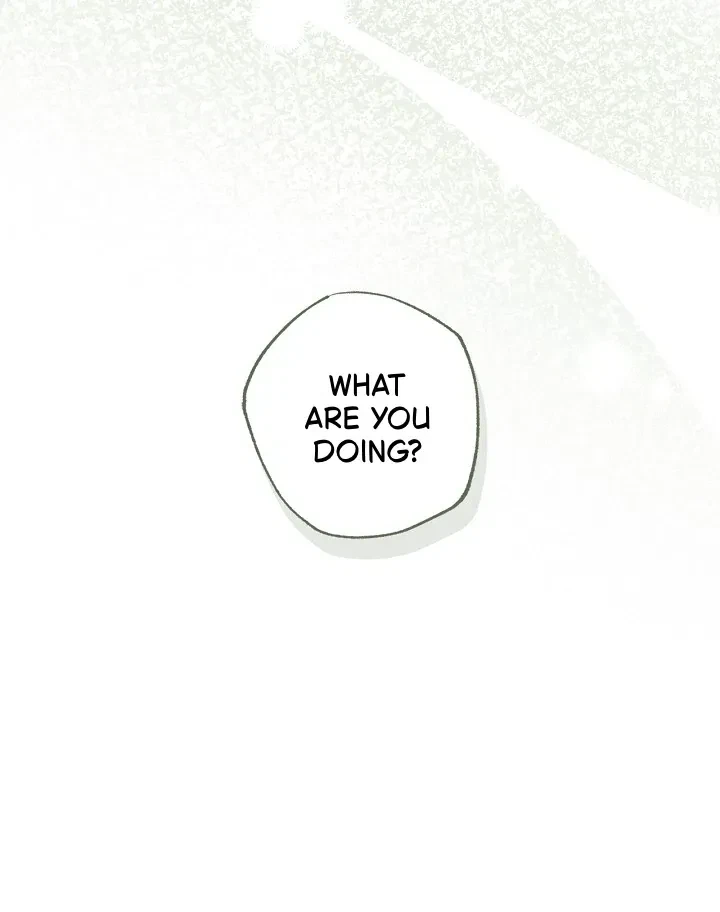 Chapter 2, page 100