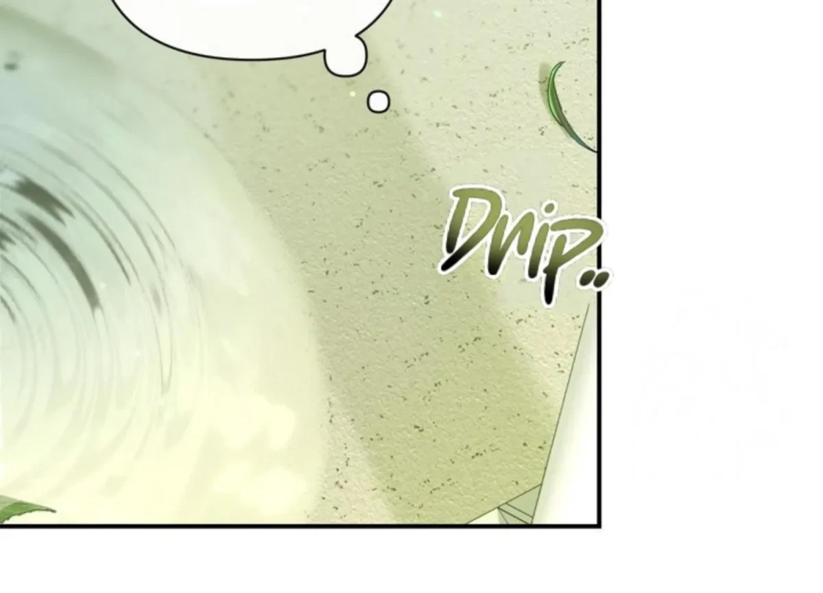 Chapter 5, page 67