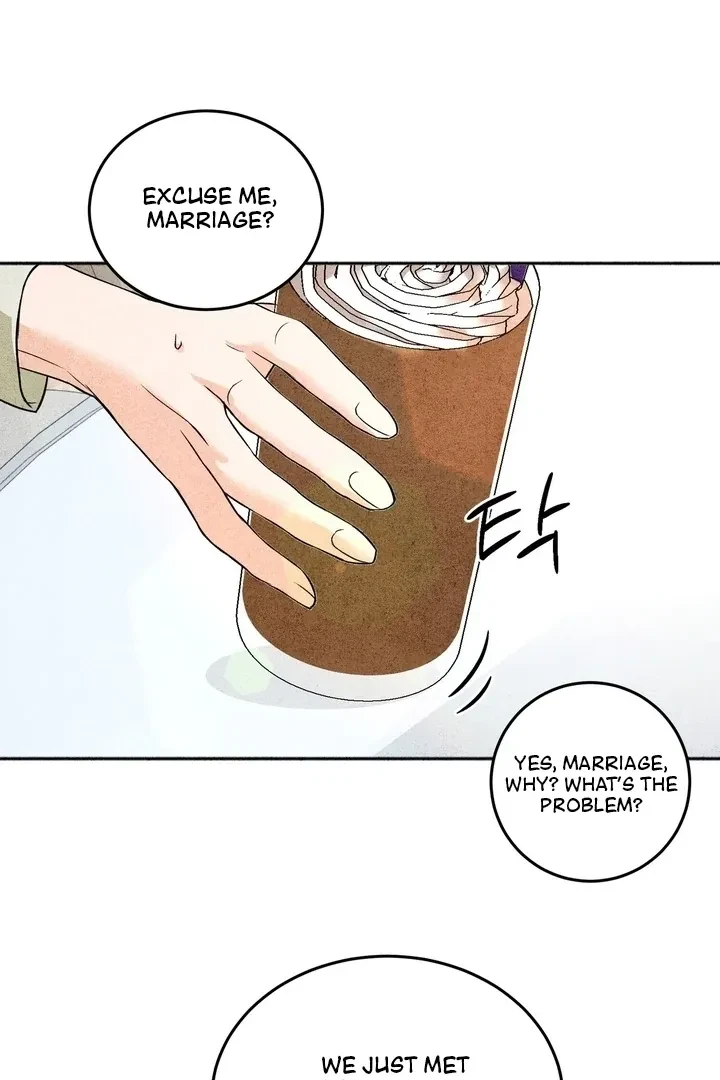 Chapter 4, page 17