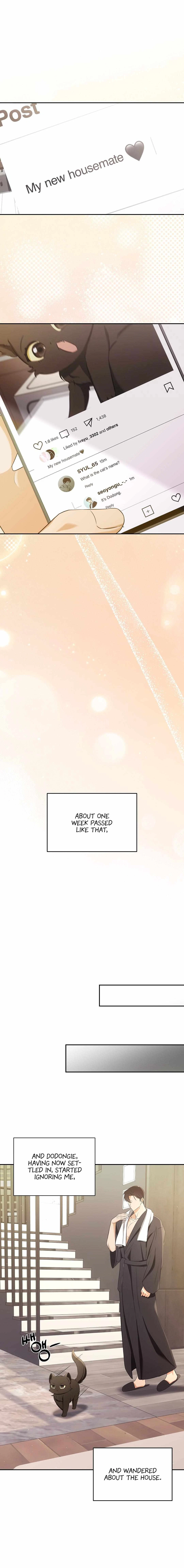 Chapter 2, page 6