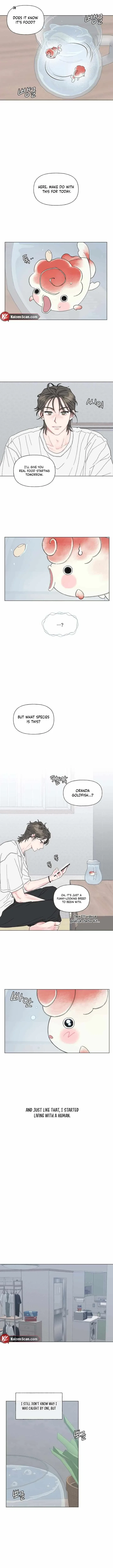 Bubbling Up! Chapter 1, page 6