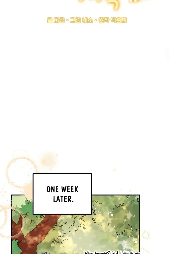 Chapter 3, page 31