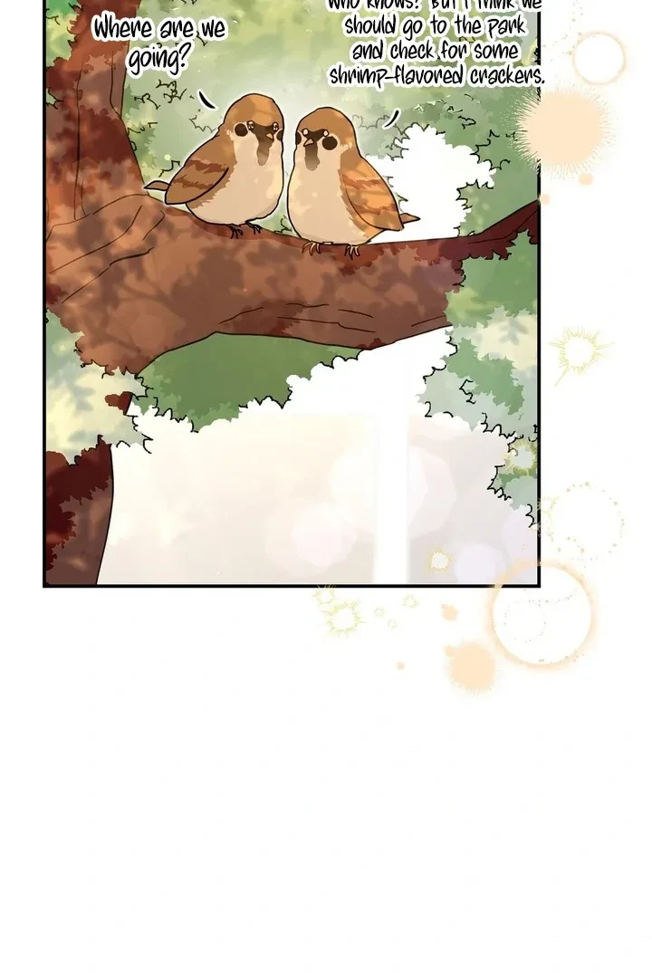 Chapter 3, page 32
