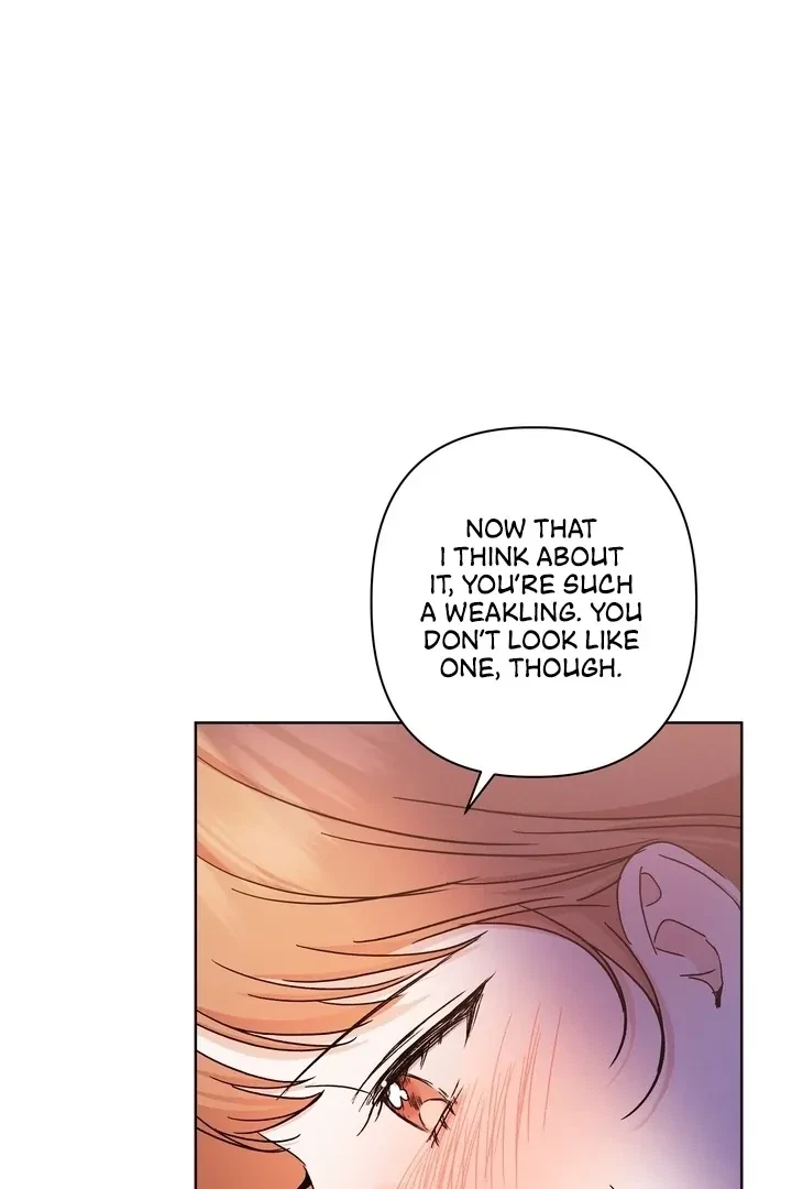 Chapter 2, page 104