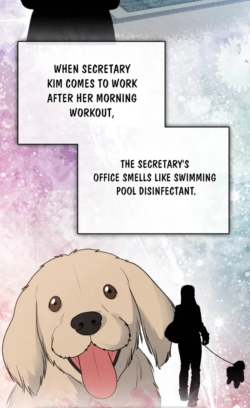 Chapter 4, page 117