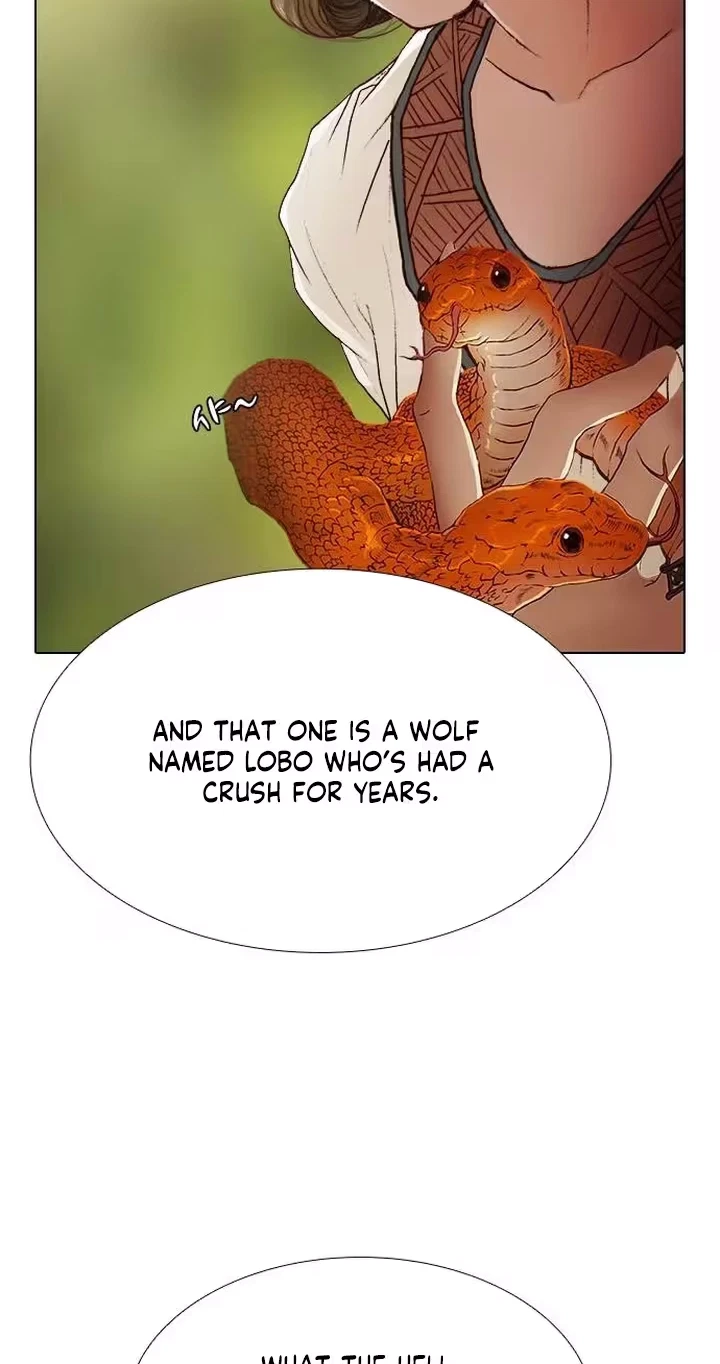 Chapter 11, page 21
