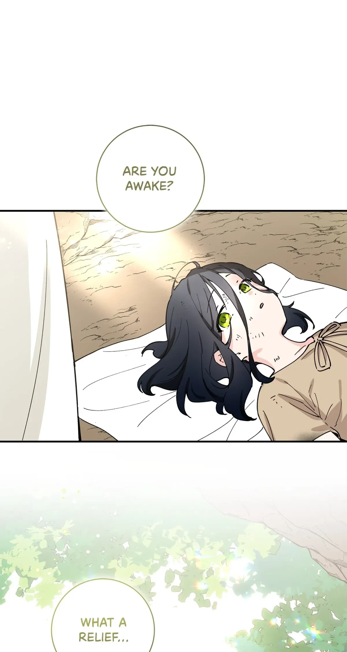 Chapter 2, page 14