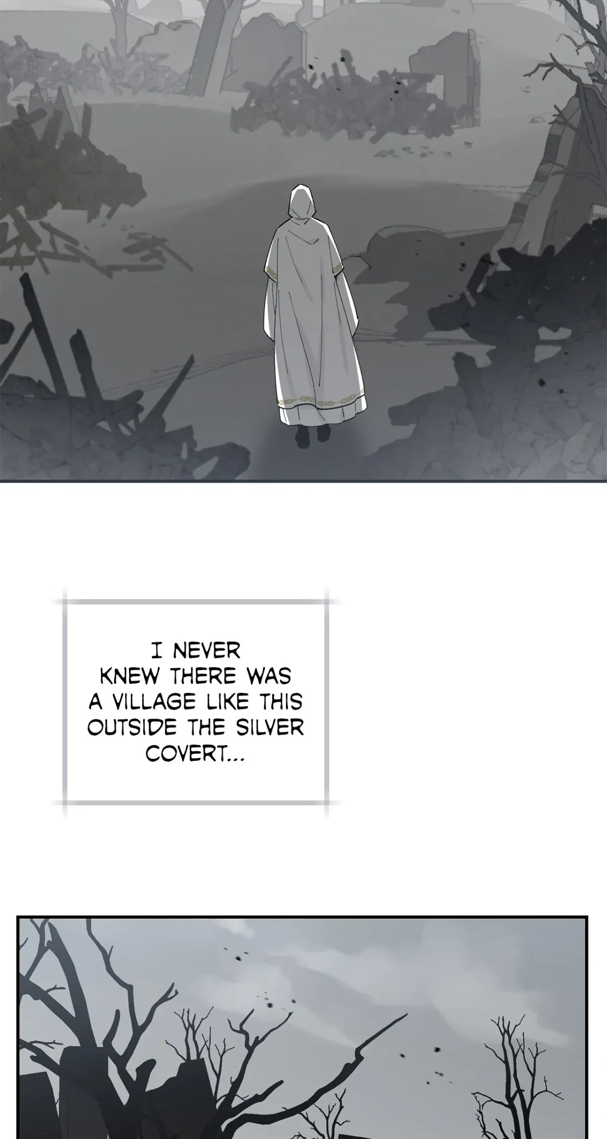 Chapter 2, page 6