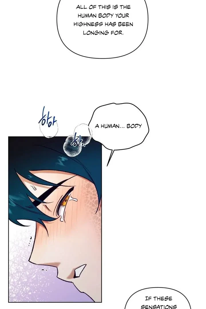 Chapter 2, page 12