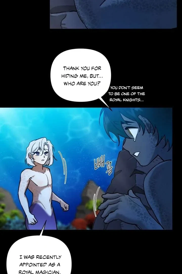 Chapter 2, page 61