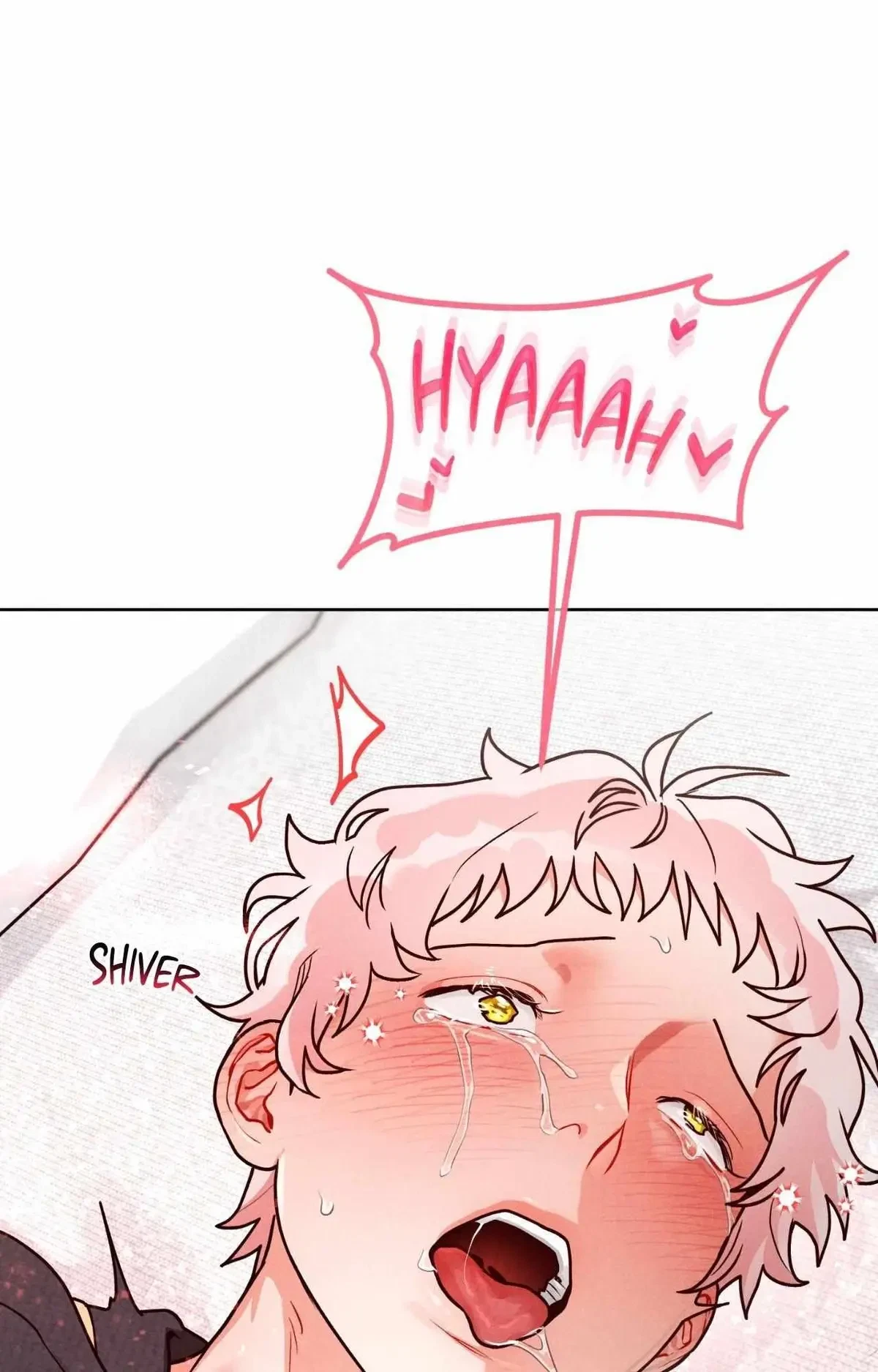 Side. : 6, page 15
