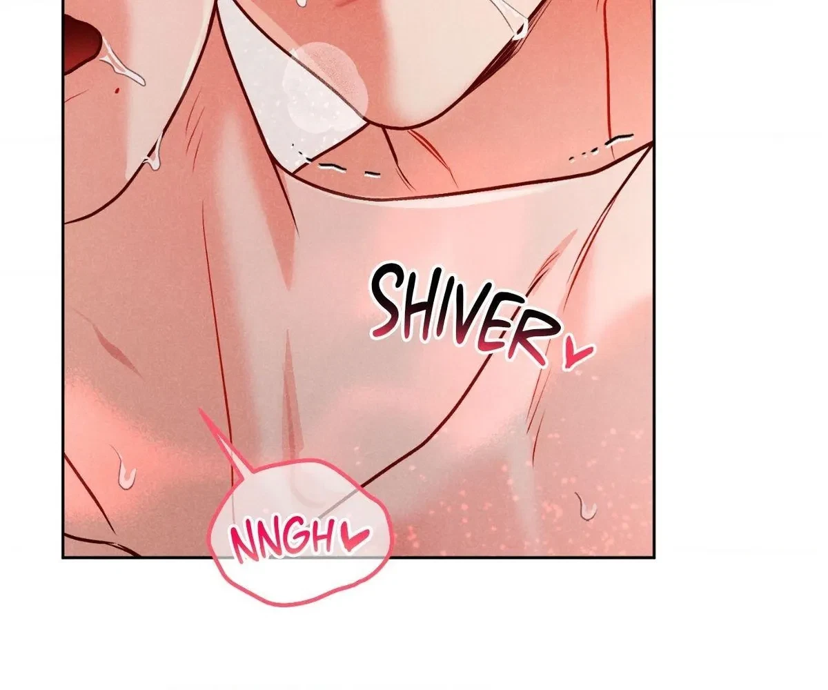 Side. : 6, page 62