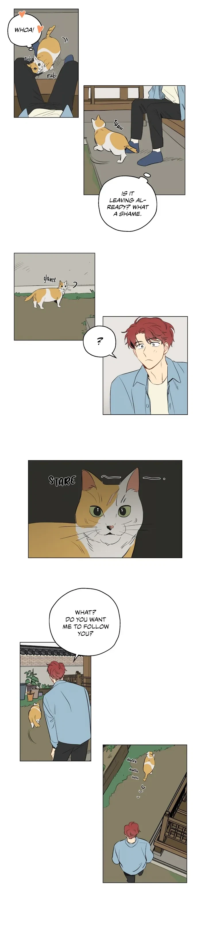 Chapter 1, page 12