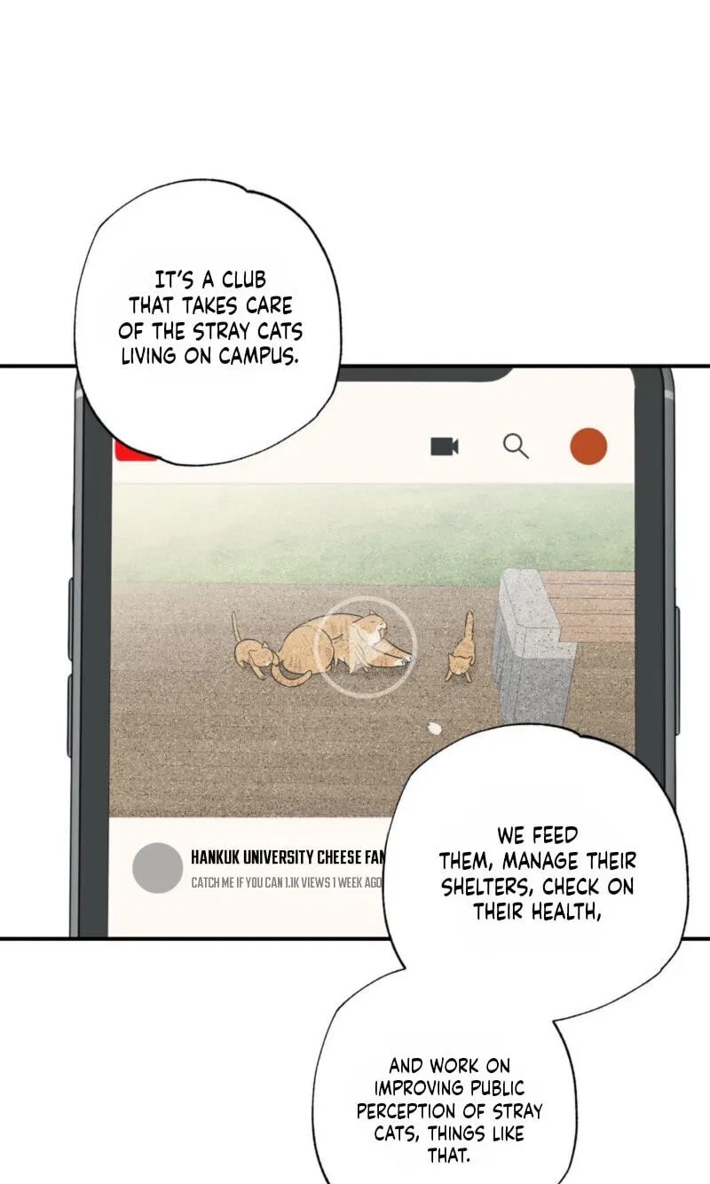 Chapter 25, page 20