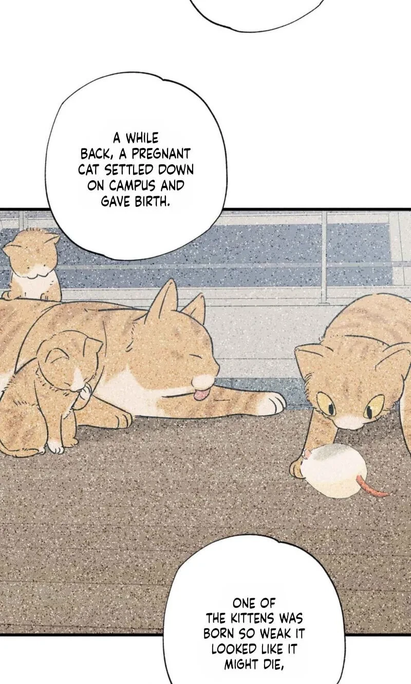 Chapter 25, page 21