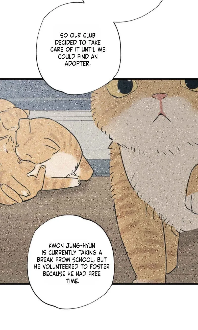Chapter 25, page 22